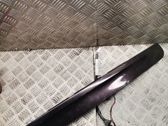 Trunk door license plate light bar