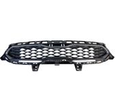 Front grill