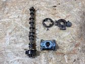 Camshaft pulley/ VANOS