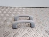 Front interior roof grab handle