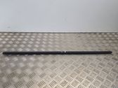 Rear door glass trim molding