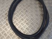 Front door rubber seal