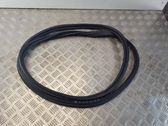 Trunk rubber seal (body)