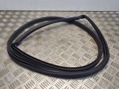 Rear door rubber seal (on body)