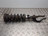 Front shock absorber with coil spring