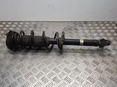 Rear shock absorber with coil spring