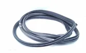 Front door rubber seal