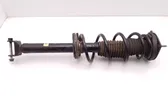 Rear shock absorber with coil spring