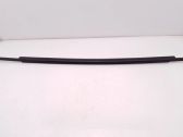 Front door glass trim molding