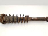 Rear shock absorber with coil spring