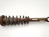 Rear shock absorber with coil spring