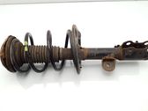 Front shock absorber with coil spring