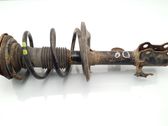 Front shock absorber with coil spring