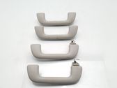 A set of handles for the ceiling