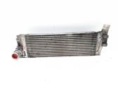 Radiador intercooler