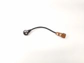 Sensor