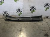 Moldura del limpia