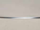 Rubber seal rear door
