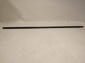 Rear door glass trim molding
