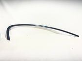 Rear door glass trim molding