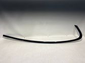Rear door glass trim molding