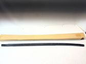 Rear door glass trim molding