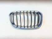 Front bumper upper radiator grill