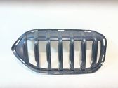 Front bumper upper radiator grill