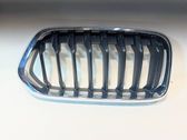 Front bumper lower grill