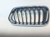 Front grill