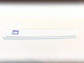 Rear door trim (molding)