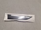 Other front door trim element