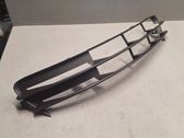 Front fog light trim/grill