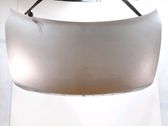 Tailgate/trunk/boot lid