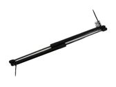 Tailgate strut