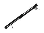 Tailgate strut