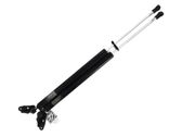 Tailgate strut