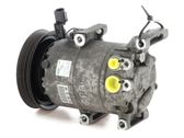 Klimakompressor Pumpe
