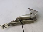 Bisagras del capó/tapa del motor