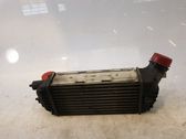Intercooler radiator