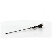Radion antenni