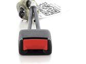 Rear seatbelt buckle