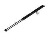 Tailgate strut