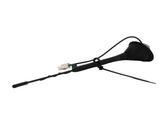 Radion antenni