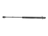 Tailgate strut