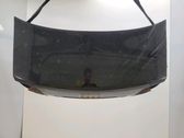 Tailgate/trunk/boot lid