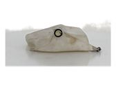 Windshield washer fluid reservoir/tank