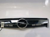 Front bumper upper radiator grill