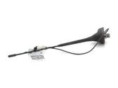 Radion antenni