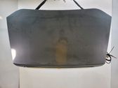 Tailgate/trunk/boot lid
